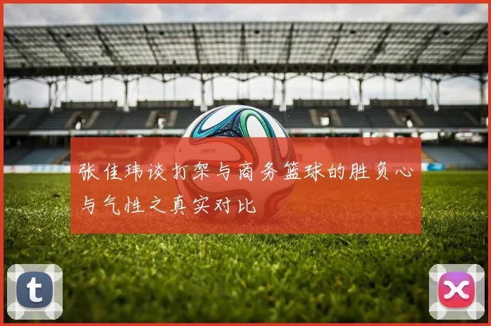 张佳玮谈打架与商务篮球的胜负心与气性之真实对比